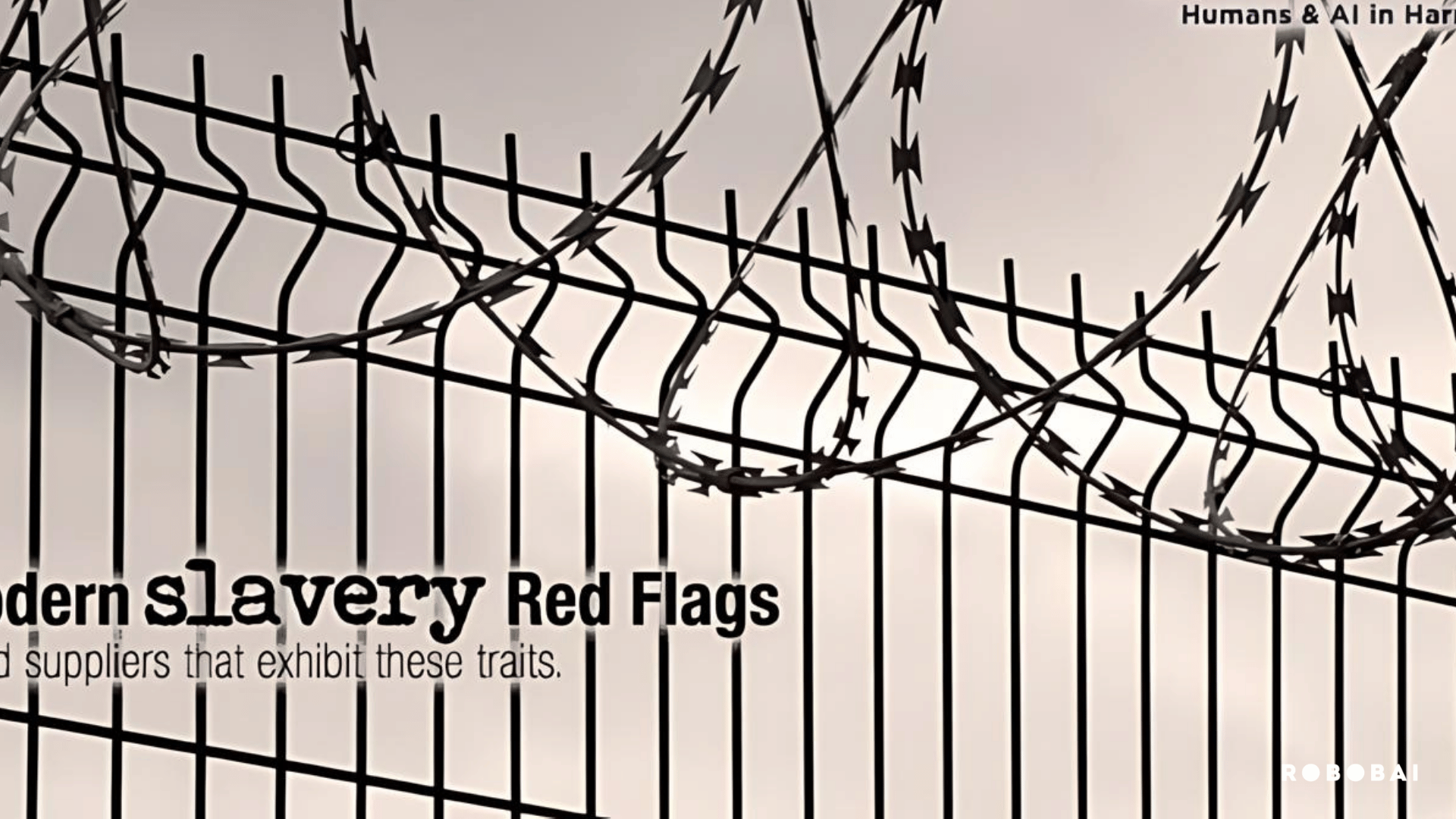 Modern Slavery Red Flags
