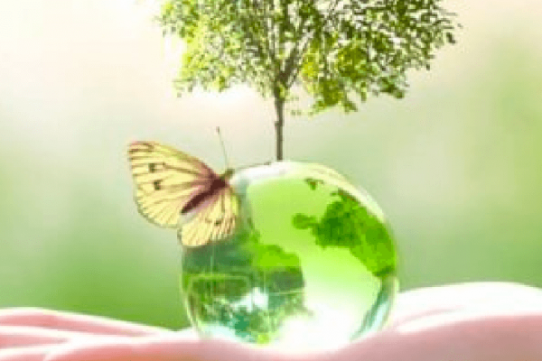 Sustainable sourcing: how a green supply chain became the new corporate necessity